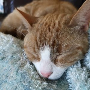 Meet your Posher, Candice